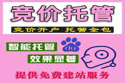 SEM推广公司成功案例：助力企业实现品牌多元化发展